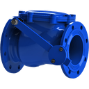 Model  SCV Swing Check Valve with Lever & Weight, DN100-PN10/16, NBR